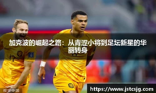 BB贝博艾佛森官网